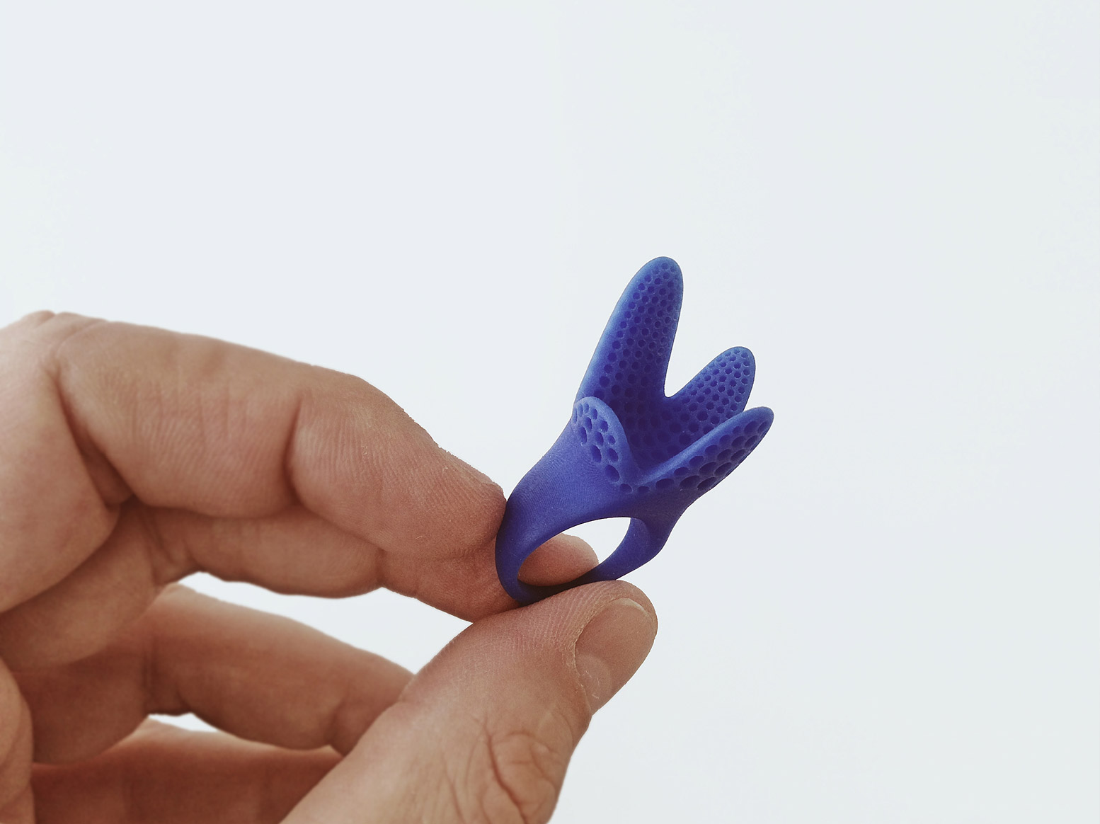 Ejecución del anillo ZOE