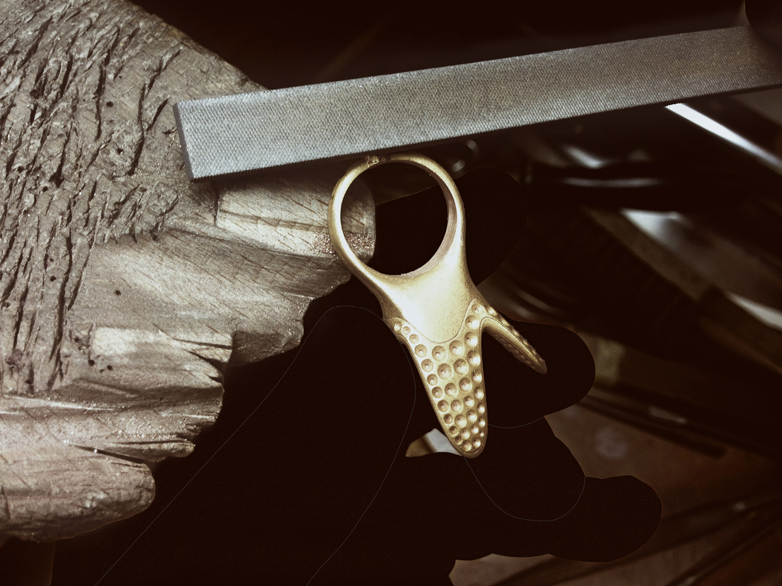 Ejecución del anillo ZOE